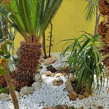 Artistika Golden * Capitana