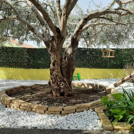 Artistika Golden Apartamento *