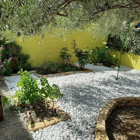 Artistika Golden * Capitana