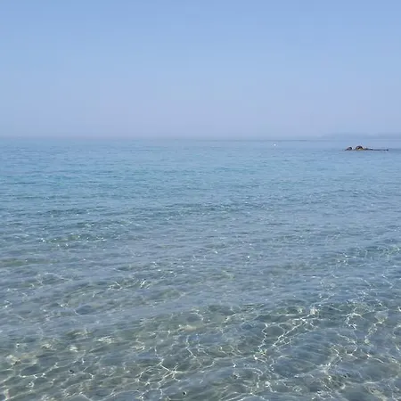 Artistika Golden Capitana